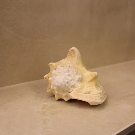 דירה Golf.intersaxonia