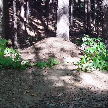 דירה Golf.intersaxonia *