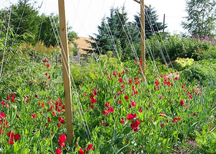 Golf.intersaxonia Appartement *