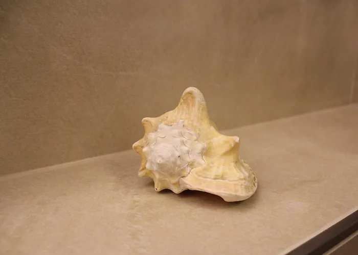 Appartement Golf.intersaxonia