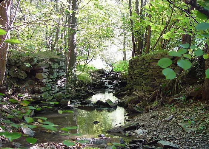 Golf.intersaxonia Zschopau