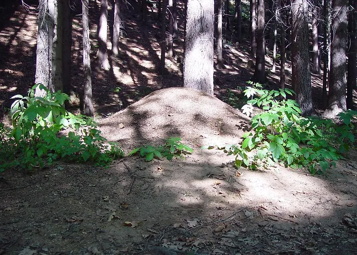 Appartement Golf.intersaxonia *