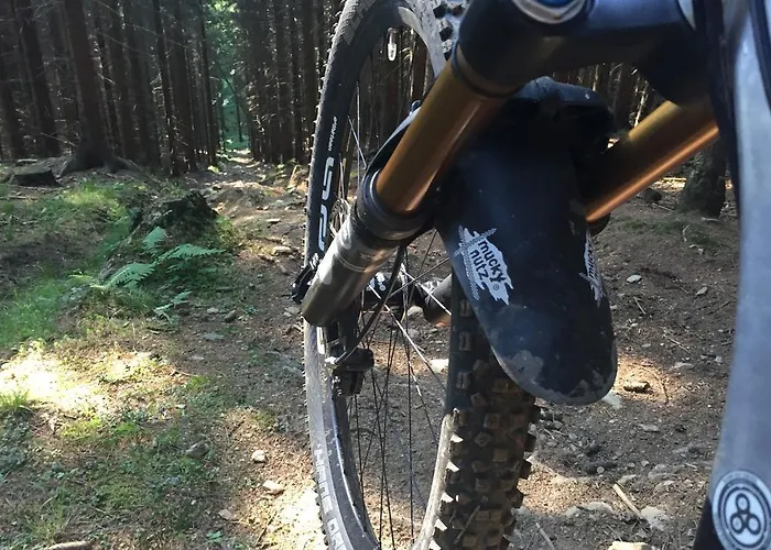 Golf.intersaxonia Appartement *