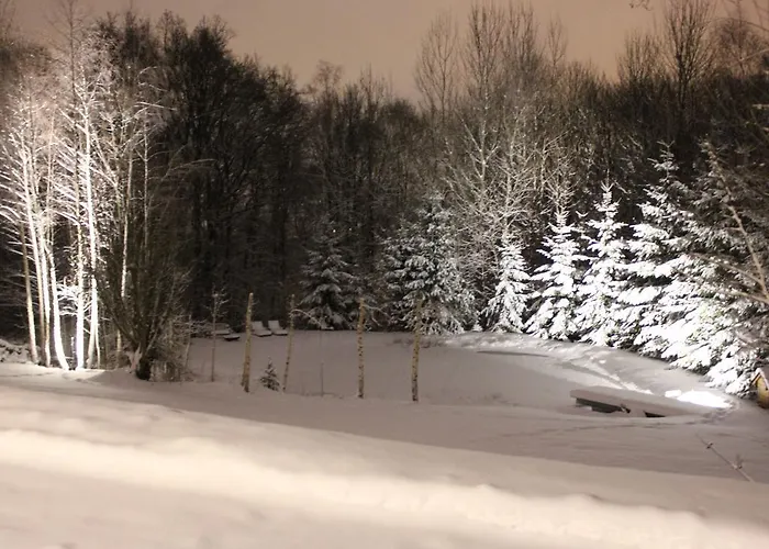 Appartement Golf.intersaxonia *